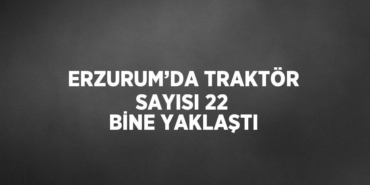 27397208422194828739tasarimli