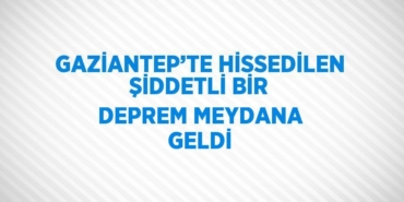 27398255232063928460tasarimli