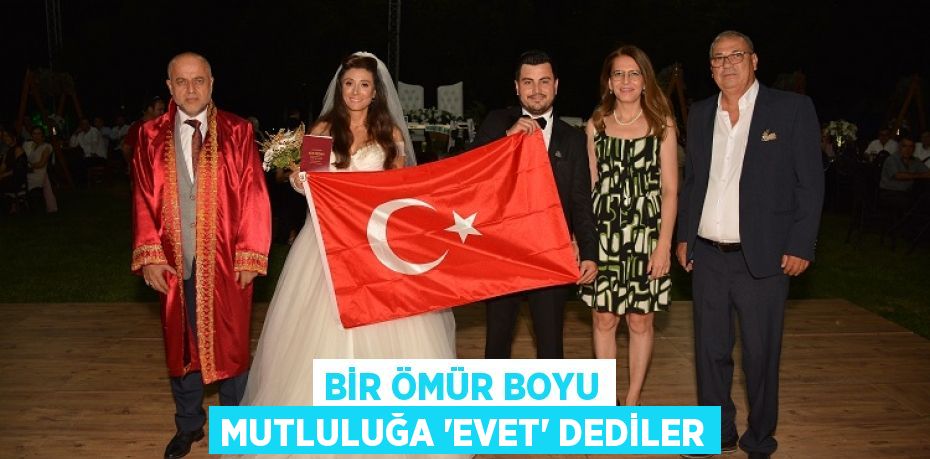 27402249173036630862tasarimli