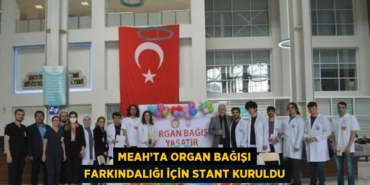 27404205102402225146tasarimli