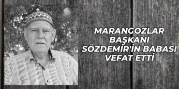 27404311262801331529