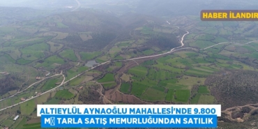 27408222022280520226tasarimli