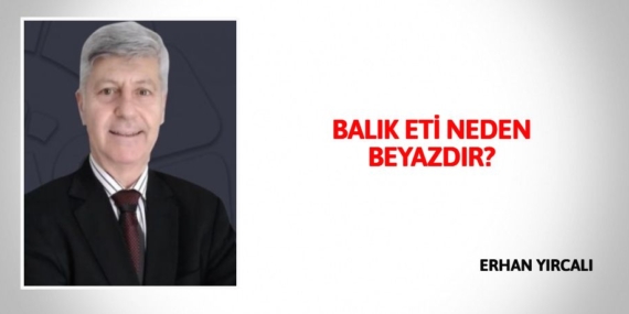 BALIK ETİ NEDEN BEYAZDIR?