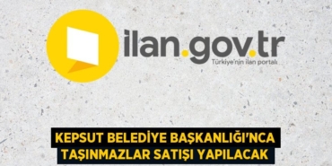 27413272573140628433tasarimli
