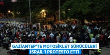 27424303992980027498tasarimli