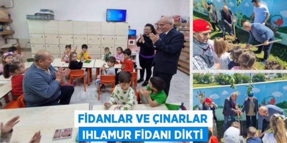 FİDANLAR VE ÇINARLAR IHLAMUR FİDANI DİKTİ