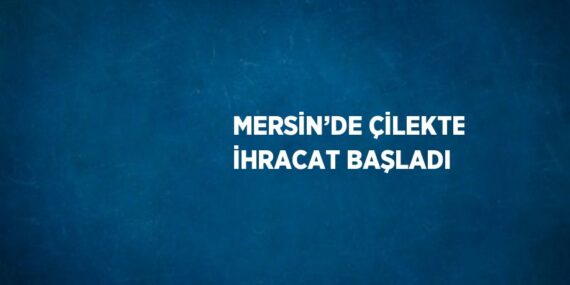 MERSİN’DE ÇİLEKTE İHRACAT BAŞLADI
