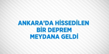 27429318862129831953tasarimli