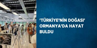 27430264932697523002