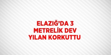 27431202842205322340tasarimli