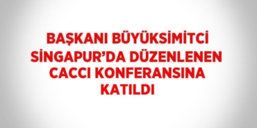 27431238932589430149tasarimli