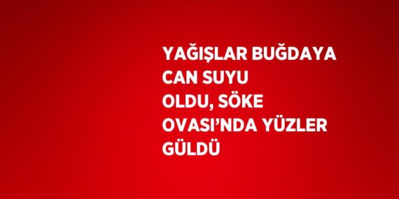 YAĞIŞLAR BUĞDAYA CAN SUYU OLDU, SÖKE OVASI’NDA YÜZLER GÜLDÜ