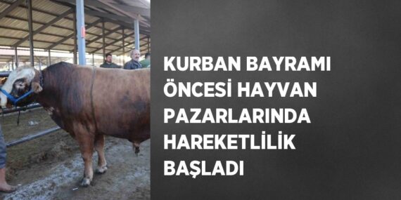 KURBAN BAYRAMI ÖNCESİ HAYVAN PAZARLARINDA HAREKETLİLİK BAŞLADI