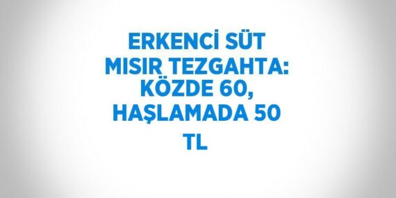 ERKENCİ SÜT MISIR TEZGAHTA: KÖZDE 60, HAŞLAMADA 50 TL