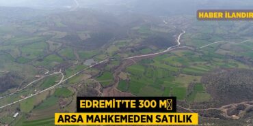27446290082367624906tasarimli