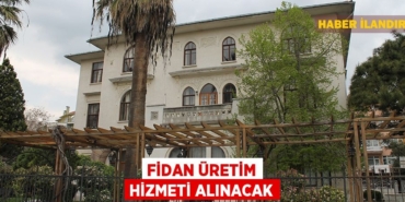 27465307453024624335tasarimli