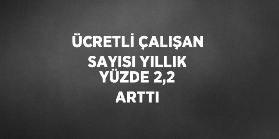 ÜCRETLİ ÇALIŞAN SAYISI YILLIK YÜZDE 2,2 ARTTI