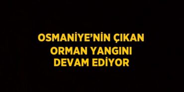27479229542496426539tasarimli