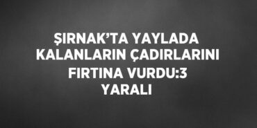27481245262295830571tasarimli