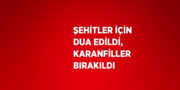 27482209382891229522