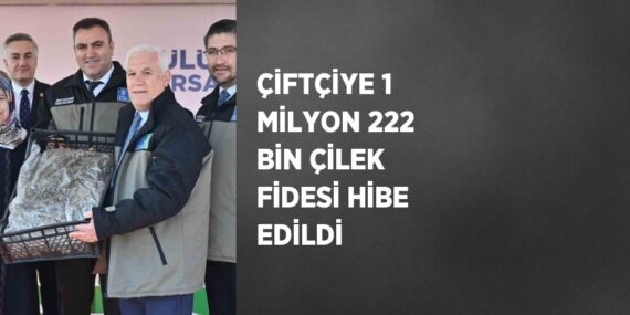 ÇİFTÇİYE 1 MİLYON 222 BİN ÇİLEK FİDESİ HİBE EDİLDİ