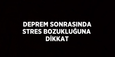 27490234252468325513tasarimli