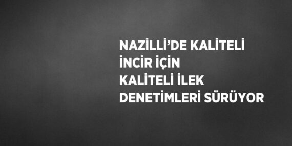 NAZİLLİ’DE KALİTELİ İNCİR İÇİN KALİTELİ İLEK DENETİMLERİ SÜRÜYOR