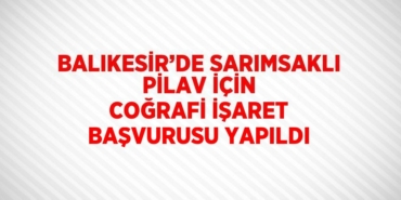 27493292202867528024tasarimli