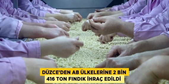 DÜZCE’DEN AB ÜLKELERİNE 2 BİN 416 TON FINDIK İHRAÇ EDİLDİ
