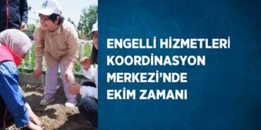 27495291622076823663