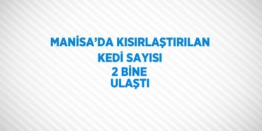 27497246962230721051tasarimli