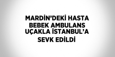 27506304273022522100tasarimli