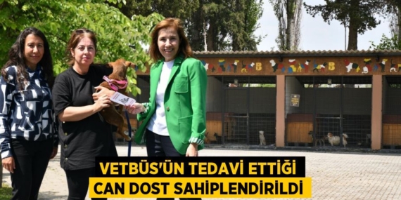 VETBÜS’ÜN TEDAVİ ETTİĞİ CAN DOST SAHİPLENDİRİLDİ