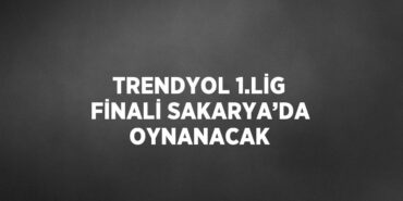 27526201992226725423tasarimli