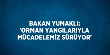 27527318822888725275tasarimli