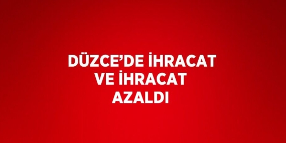 DÜZCE’DE İHRACAT VE İHRACAT AZALDI