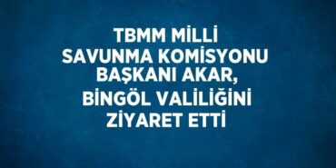 27532228432941927347tasarimli