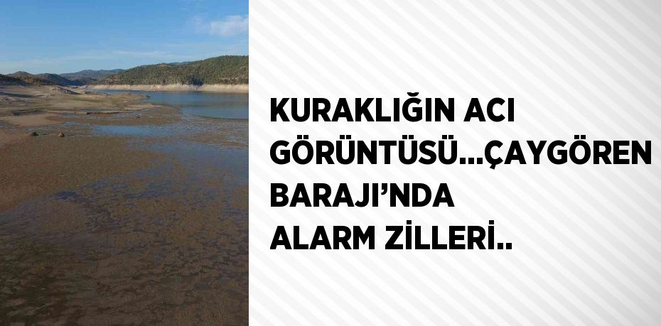 27544318623101131265