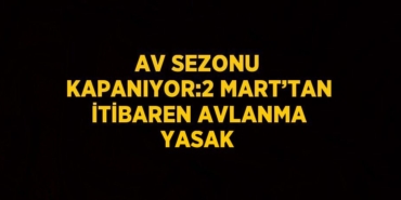 27548264293039524860tasarimli