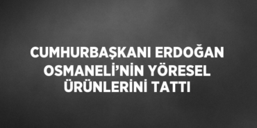 27549282212824024730tasarimli