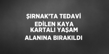 27555290252602925861tasarimli