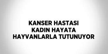 27558245073159131810tasarimli