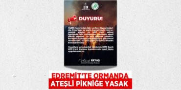 27564290072219422137tasarimli