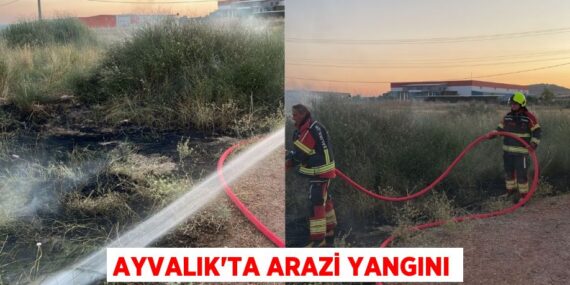 Ayvalık’ta arazi yangını