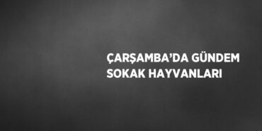 27564309832124528423