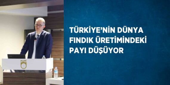 TÜRKİYE’NİN DÜNYA FINDIK ÜRETİMİNDEKİ PAYI DÜŞÜYOR