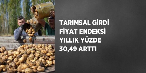 TARIMSAL GİRDİ FİYAT ENDEKSİ YILLIK YÜZDE 30,49 ARTTI