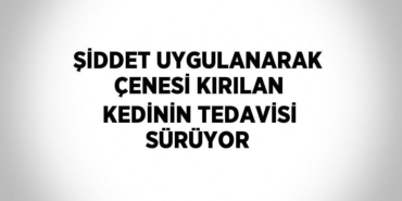 27587214342375922256tasarimli