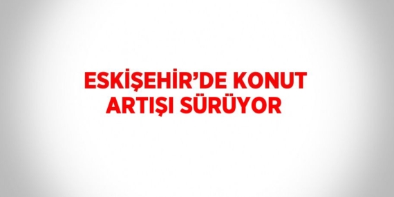 ESKİŞEHİR’DE KONUT ARTIŞI SÜRÜYOR