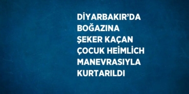 27593300622056123940